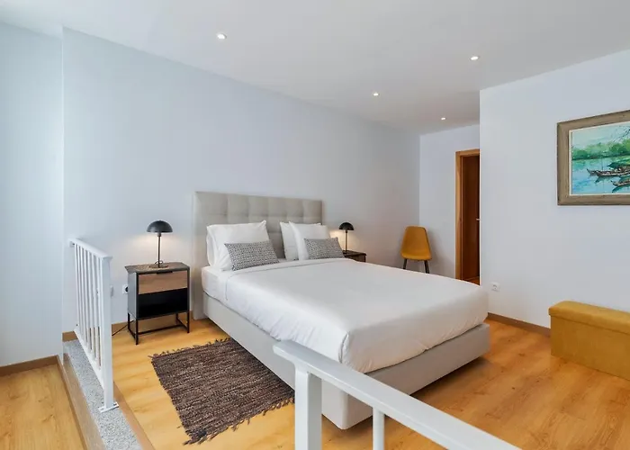 O Doze Σετούμπαλ